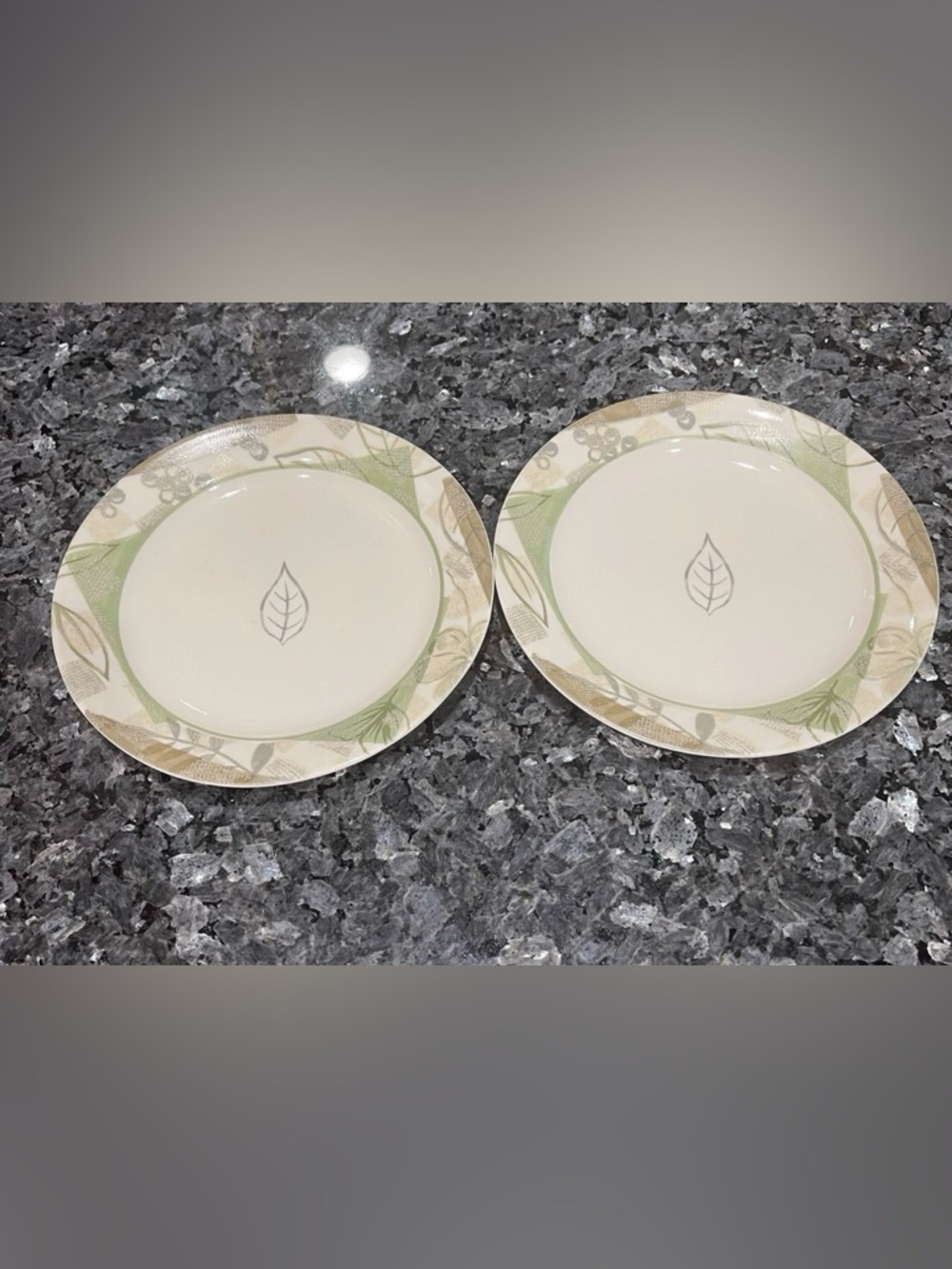 Corelle Textured Leaves 9 inch Lunch Plates Set of 2